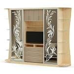 Шкаф купе TV-10 BMS - Фото 6