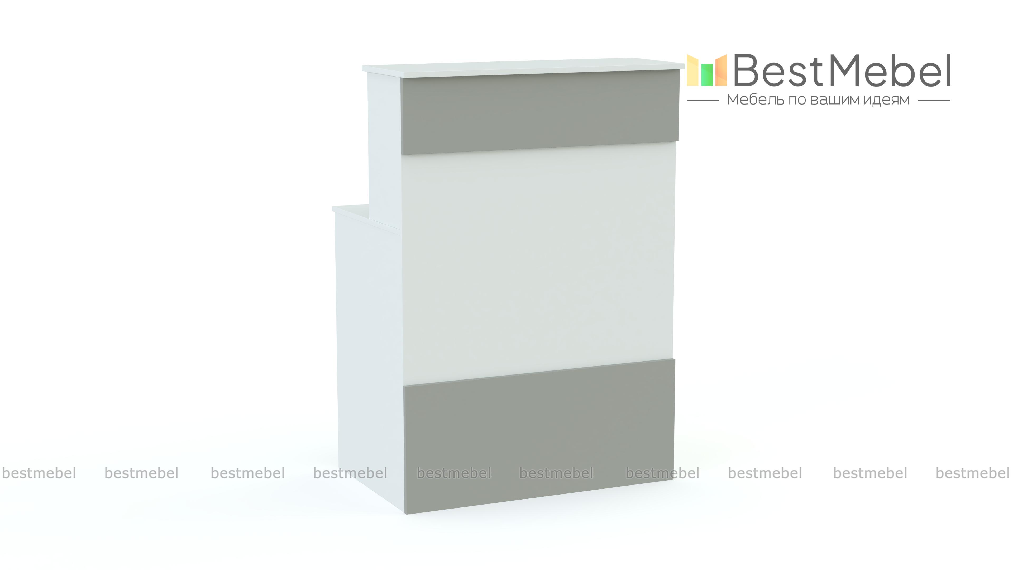 Ресепшен Рейна №1 BMS - Фото