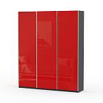 Шкаф-купе Редл BMS - Фото 8